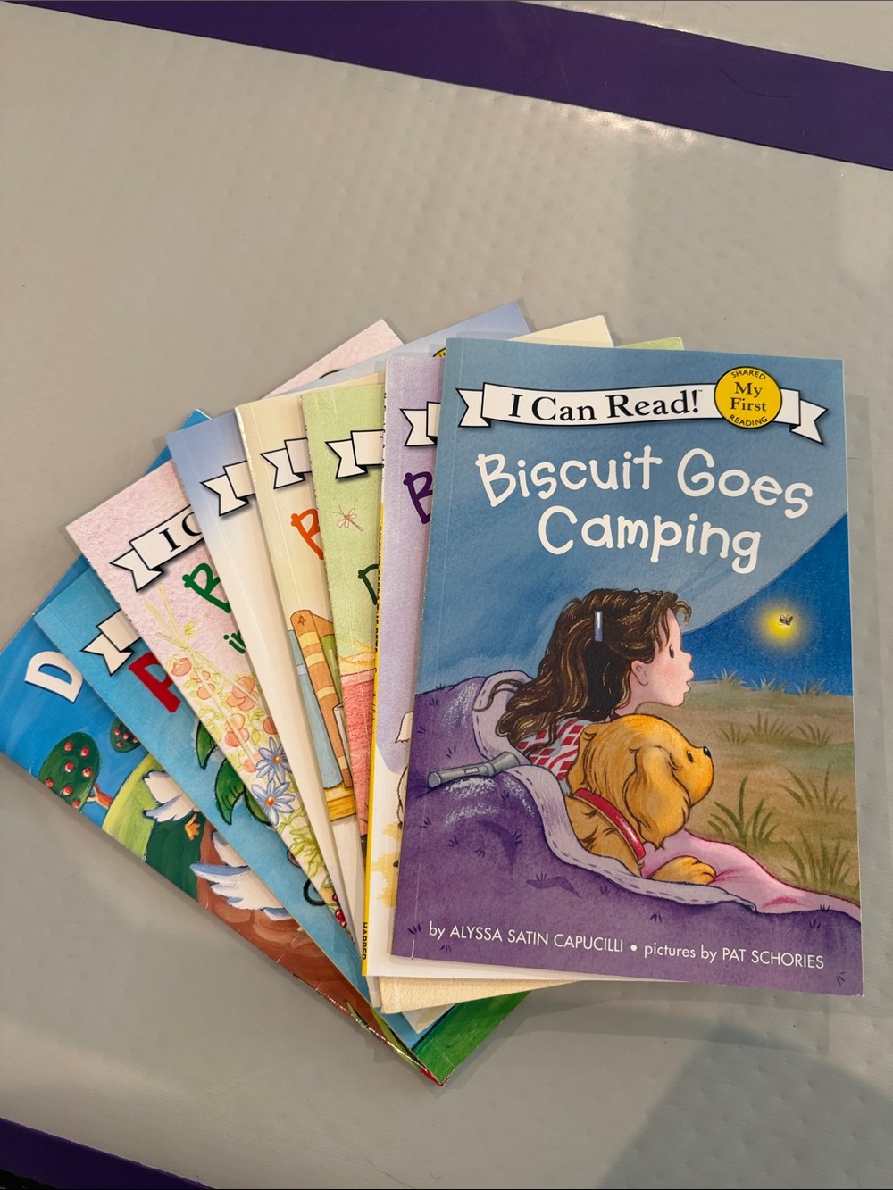 Kids' Multicolor Storybook Set - Biscuit Series